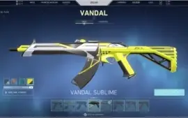 Conta valorant +1000 reais investidos