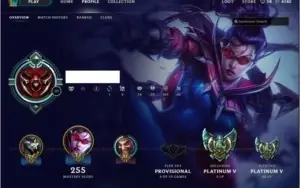 Conta de LoL PLATINA FLEX SOLO/DUO BORDA PLATINA BARATO