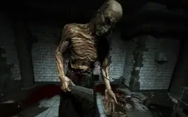 Outlast: Bundle of Terror XBOX