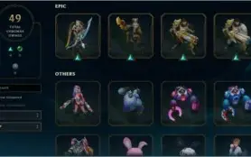 Conta 430 skins borda CHALLENGER