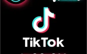 Visualizações - TIKTOK