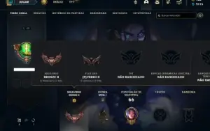 Conta bronze 2 com 33 Champs e 5 Skins