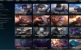League of Legends - lol - Skin