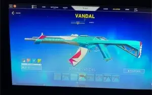 CONTA VALORANT DIMA 2 VARIAS SKINS