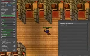 Knight LVl 36 + Sorcerer Lvl 34 - Pacera