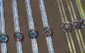Albion | Conta Mid Game  Full Coletas T8