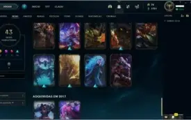 Conta league of legend ,Gold S10 ,91 Champs, Skins 43!!