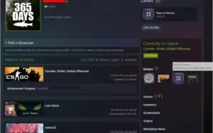 CONTA CS:GO 15 ANOS COM 14K+ DE HORAS +100 JOGOS