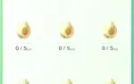 Pokemon GO, Conta Niantic