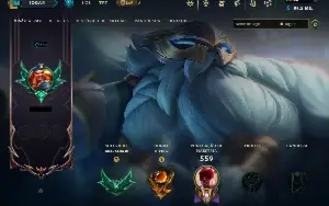 Conta de LoL - conta de 12 anos - 300 skins, todos os champs