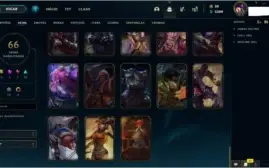 CONTA D4, LVL 217