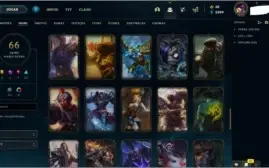 CONTA D4, LVL 217