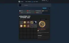 Conta steam com premier cs2, sem vacban, liberado!