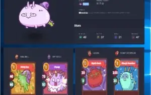 CONTA AXIE INFINITY