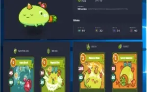 CONTA AXIE INFINITY