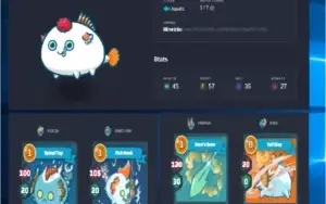 CONTA AXIE INFINITY
