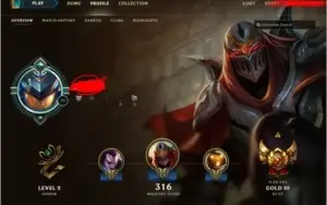 BORDA PLATINA - QUASE TODOS HEROIS - 48845RP GASTOS EM SKIN