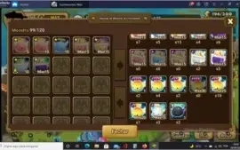 Conta Global 27 Nat 5 com destaque para o Ragdoll