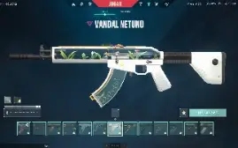 Conta de Valorant com 4.3K gastos, conta muito top