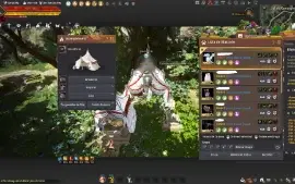 Conta Melhor Conta Pra Jogar Black Desert