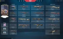 Conta VALORANT・nível 378・Imortal・com +6500 reais em skins