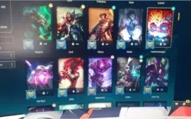 Todas as skins do Jogo!
