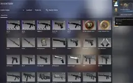 CSGO PRIME 18 ANOS MEDALHAS 5 E 10 ANOS R$274,93 DE SALDO