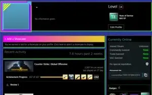 CSGO PRIME 18 ANOS MEDALHAS 5 E 10 ANOS R$274,93 DE SALDO