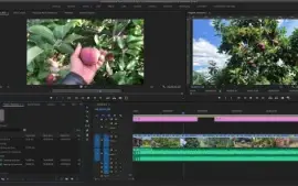 Adobe After Effects 2023 + Atualizações Futura