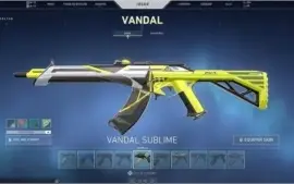 Conta de Valorant MUITAS SKINS!