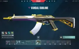 Conta Valorant Platina Skins E Karambit Sublime