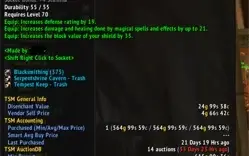 Prot Paladin Faerlina - Horda