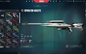 Conta Valorant Lvl 215|Champions 23, 24 E 25
