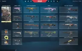 Conta Valorant com Skins e Pacotes Raros Platina 3