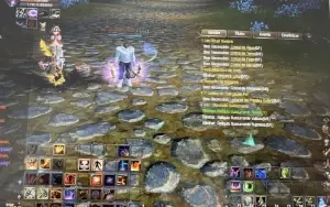 Perfect World Bárbaro Top (Altera Dados Cpf)