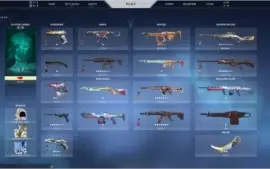Conta VALORANT IMORTAL 2 R$950 EM SKINS