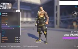 OVERWATCH 2 - 51 visual lendário + HEARTHSTONE 80 lendárias