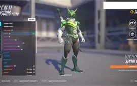 OVERWATCH 2 - 51 visual lendário + HEARTHSTONE 80 lendárias