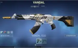 Conta Prata 3 com skin de vandal e phantom