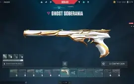 Conta Valorant *Muitas Skins*