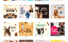 Pack Canva Petshop - 55 Artes Editáveis