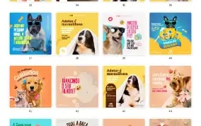 Pack Canva Petshop - 55 Artes Editáveis