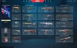Conta Valorant 3600 Reais Gastos