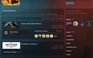 STEAM CS:GO, VARIOS JOGOS E R$70 NA CARTEIRA