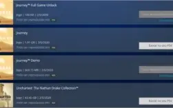 Conta ps4