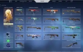 Conta Valorant Com Muita Skins Atual Platina
