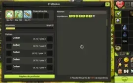Eni rank 10 dofus touch com profs  sem itens