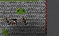 KNIGHT (88) / PALADIN (80) SERDEBRA NICE SKILLS