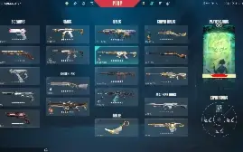conta radiant chaveiro riot e chaveiro premier