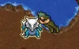 CONTA LEVEL 455 PXG MUNDO FIRE SHINY CHARM E SHINY DITTO